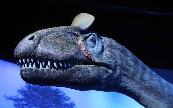 恐龙化石为何只在少数地区发现？其他地区真的没有恐龙吗？112 / 作者:单丁鹤纷 / 帖子ID:130909