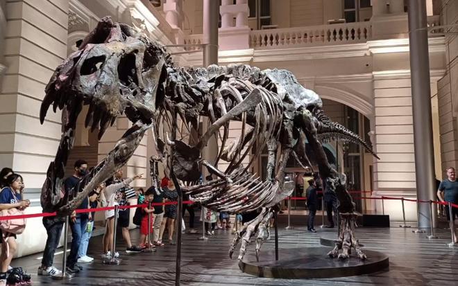 恐龙化石为何只在少数地区发现？其他地区真的没有恐龙吗？27 / 作者:单丁鹤纷 / 帖子ID:130909