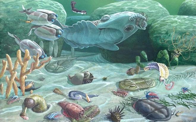 外星人是否曾在地球人类出现之前造访过地球？774 / 作者:单丁鹤纷 / 帖子ID:130933