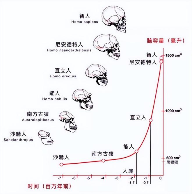为什么动物分娩轻松而人类分娩痛苦？864 / 作者:单丁鹤纷 / 帖子ID:131005