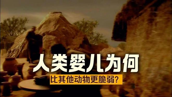 为什么动物分娩轻松而人类分娩痛苦？307 / 作者:单丁鹤纷 / 帖子ID:131005