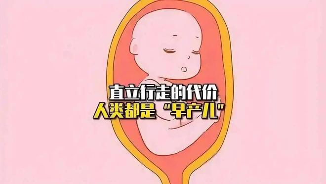 为什么动物分娩轻松而人类分娩痛苦？327 / 作者:单丁鹤纷 / 帖子ID:131005