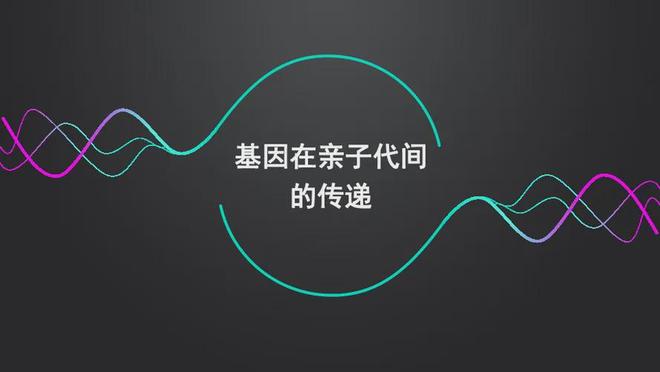 为什么进化选择繁殖而不是永生？603 / 作者:单丁鹤纷 / 帖子ID:131034