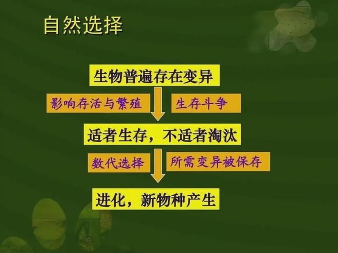 为什么进化选择繁殖而不是永生？760 / 作者:单丁鹤纷 / 帖子ID:131034