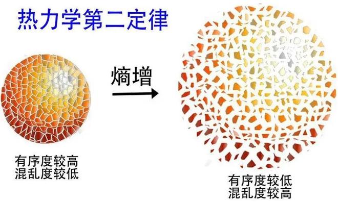 原子永生之谜：为何原子构成的生物无法永恒？157 / 作者:张立武 / 帖子ID:131130