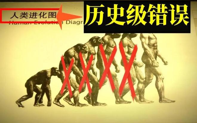 为什么人类进化出智慧而黑猩猩没有？环境压力是关键原因！60 / 作者:单丁鹤纷 / 帖子ID:131095