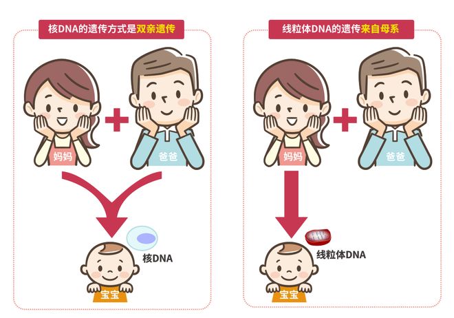 人类祖先起源：非洲是人类的摇篮吗？693 / 作者:单丁鹤纷 / 帖子ID:131091