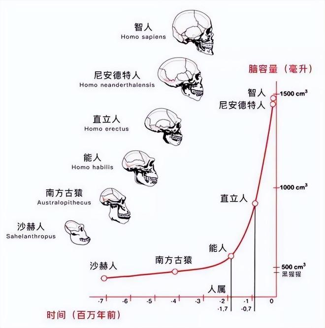 为什么人类进化出智慧而黑猩猩没有？环境压力是关键原因！75 / 作者:单丁鹤纷 / 帖子ID:131095