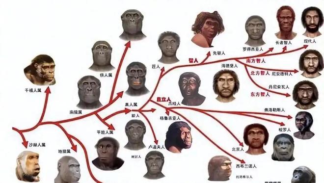 人类祖先起源：非洲是人类的摇篮吗？95 / 作者:单丁鹤纷 / 帖子ID:131091