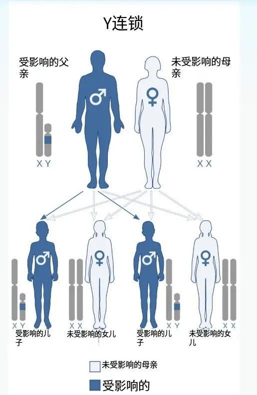 人类祖先起源：非洲是人类的摇篮吗？618 / 作者:单丁鹤纷 / 帖子ID:131091