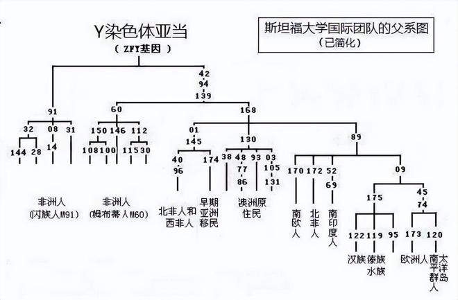 人类祖先起源：非洲是人类的摇篮吗？776 / 作者:单丁鹤纷 / 帖子ID:131091