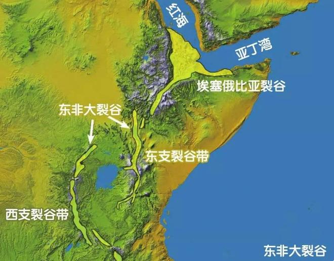 为什么人类进化出智慧而黑猩猩没有？环境压力是关键原因！958 / 作者:单丁鹤纷 / 帖子ID:131095