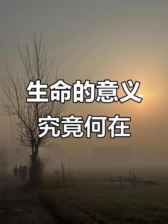 生命必须走向死亡？重新审视死亡的意义与价值217 / 作者:单丁鹤纷 / 帖子ID:131093