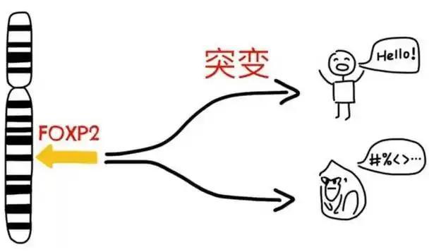 人类祖先起源：非洲是人类的摇篮吗？622 / 作者:单丁鹤纷 / 帖子ID:131091