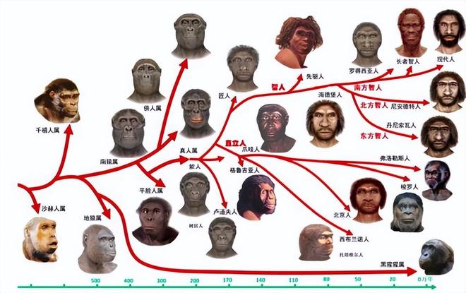 为什么人类进化出智慧而黑猩猩没有？环境压力是关键原因！418 / 作者:单丁鹤纷 / 帖子ID:131095