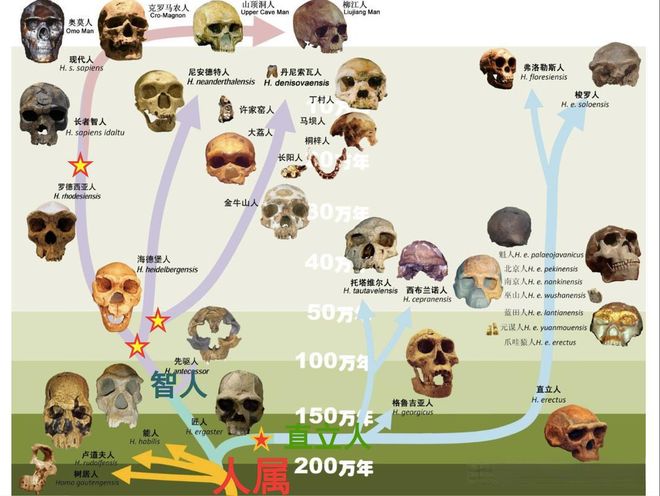 人类祖先起源：非洲是人类的摇篮吗？651 / 作者:单丁鹤纷 / 帖子ID:131091