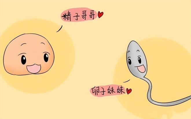 人类卵子体积远超精子千万倍，主动选择理想精子！980 / 作者:张立武 / 帖子ID:131170