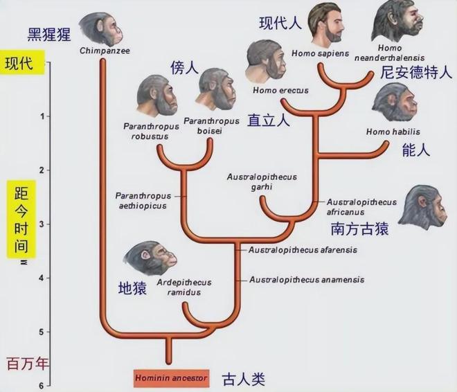 进化论：你真的了解吗？129 / 作者:张立武 / 帖子ID:131224