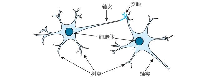 原子无意识：为何人类由原子构成却拥有意识？169 / 作者:张立武 / 帖子ID:131328