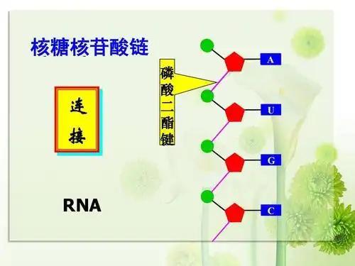 人类是宇宙最高等文明吗？深度解析（近5万字详述）457 / 作者:张立武 / 帖子ID:131337