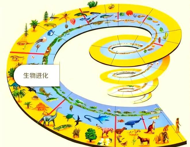 人类是宇宙最高等文明吗？深度解析（近5万字详述）531 / 作者:张立武 / 帖子ID:131337