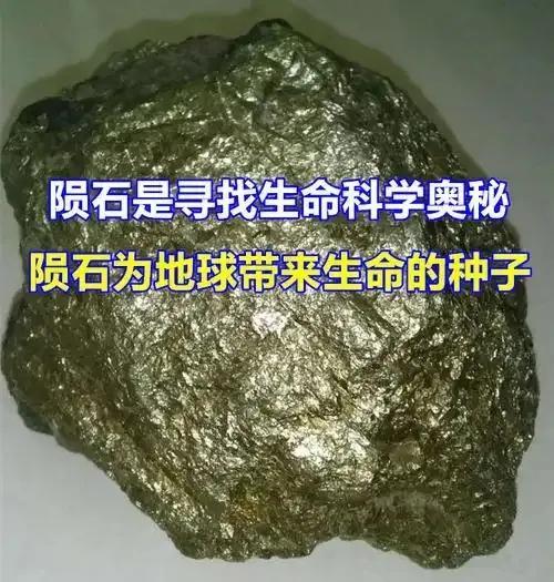 人类是宇宙最高等文明吗？深度解析（近5万字详述）815 / 作者:张立武 / 帖子ID:131337
