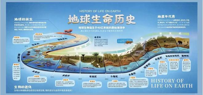 人类是宇宙最高等文明吗？深度解析（近5万字详述）740 / 作者:张立武 / 帖子ID:131337