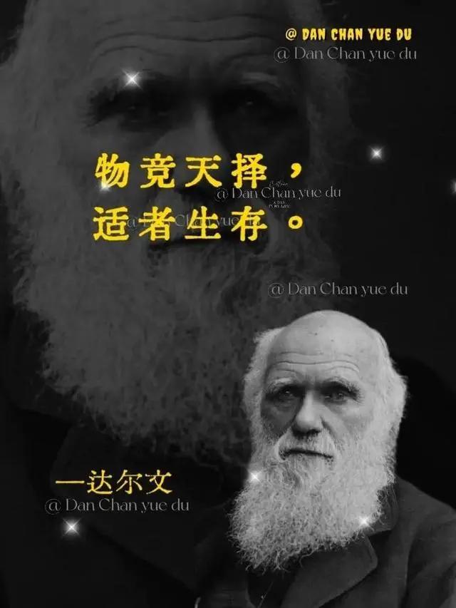 人类是宇宙最高等文明吗？深度解析（近5万字详述）802 / 作者:张立武 / 帖子ID:131337