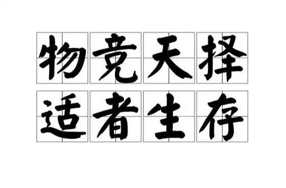 人类是宇宙最高等文明吗？深度解析（近5万字详述）202 / 作者:张立武 / 帖子ID:131337