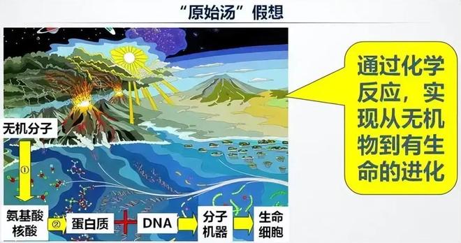 人类是宇宙最高等文明吗？深度解析（近5万字详述）287 / 作者:张立武 / 帖子ID:131337