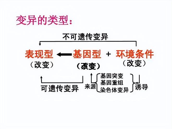 如果人类灭绝，数亿年后会再次进化出人类吗？838 / 作者:张立武 / 帖子ID:131338