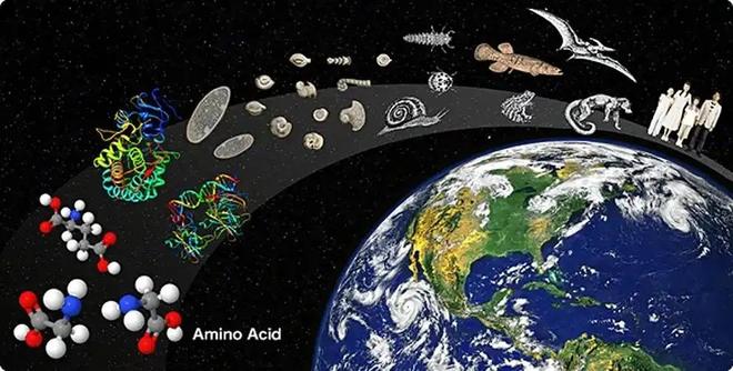 人类是宇宙最高等文明吗？深度解析（近5万字详述）305 / 作者:张立武 / 帖子ID:131337