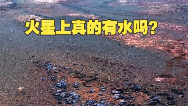 人类是宇宙最高等文明吗？深度解析（近5万字详述）207 / 作者:张立武 / 帖子ID:131337