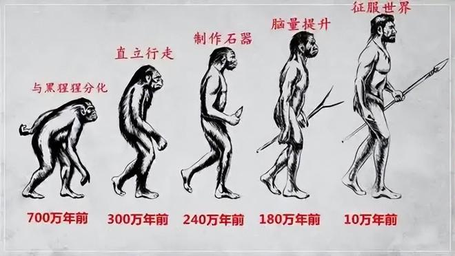 人类婴儿为何脆弱？揭秘“早产儿”背后的科学真相706 / 作者:张立武 / 帖子ID:131346