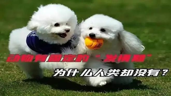 动物没有贞操观，人类为何如此重视贞操观？877 / 作者:张立武 / 帖子ID:131357