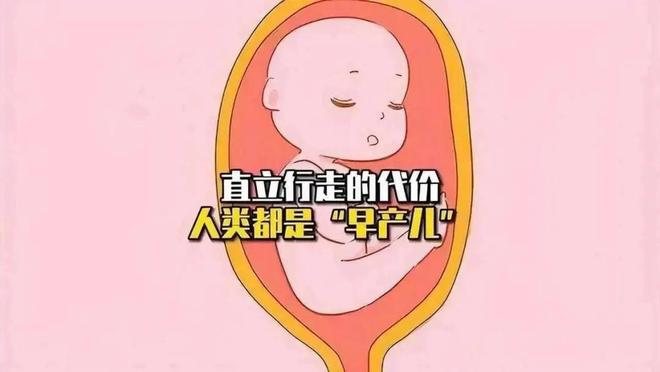 人类婴儿为何脆弱？揭秘“早产儿”背后的科学真相630 / 作者:张立武 / 帖子ID:131346