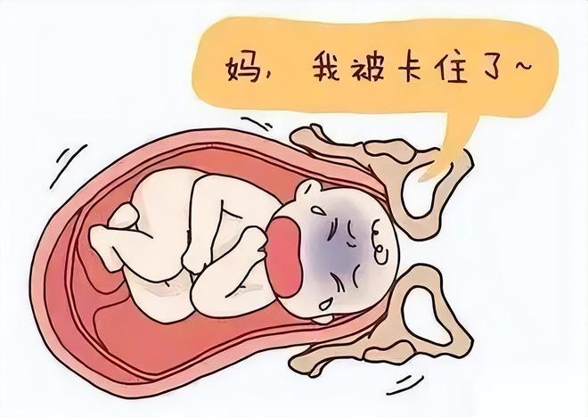 动物没有贞操观，人类为何如此重视贞操观？976 / 作者:张立武 / 帖子ID:131357