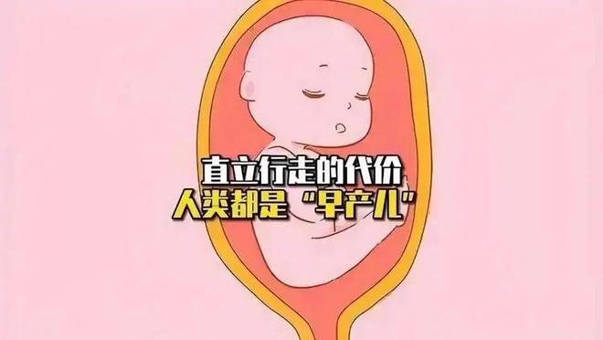 动物没有贞操观，人类为何如此重视贞操观？899 / 作者:张立武 / 帖子ID:131357