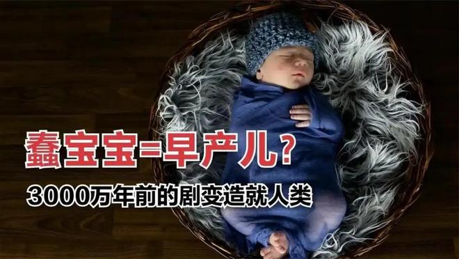 人类婴儿为何脆弱？揭秘“早产儿”背后的科学真相495 / 作者:张立武 / 帖子ID:131346