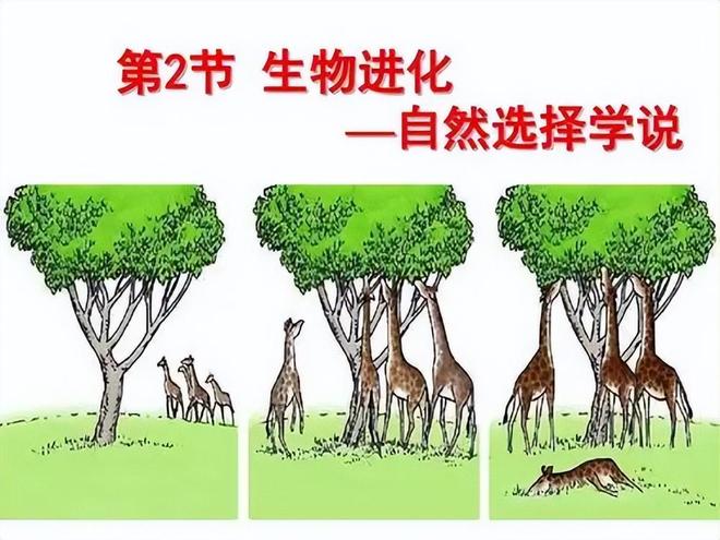 为什么人类不能永生？答案竟与“性”有关！405 / 作者:张立武 / 帖子ID:131370