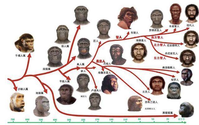 如果地球生命重新演化，人类能否再次出现？706 / 作者:张立武 / 帖子ID:131367