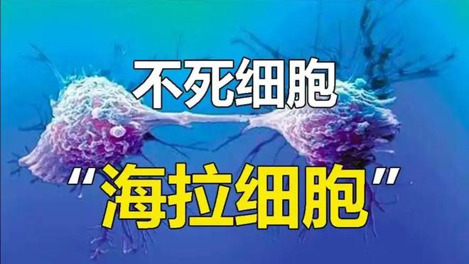 为什么人类不能永生？答案竟与“性”有关！53 / 作者:张立武 / 帖子ID:131370