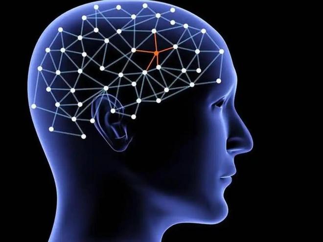 物质世界如何产生意识？探索意识的起源与本质702 / 作者:张立武 / 帖子ID:131434