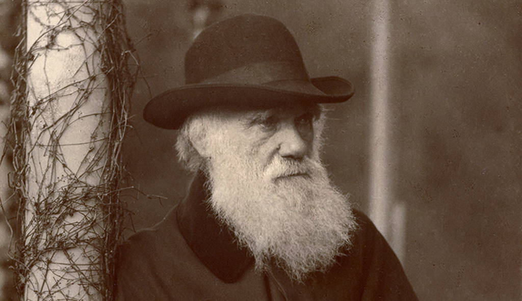 科学家新发现：人类阑尾功能与达尔文理论相悖180 / 作者:单丁鹤纷 / 帖子ID:130914