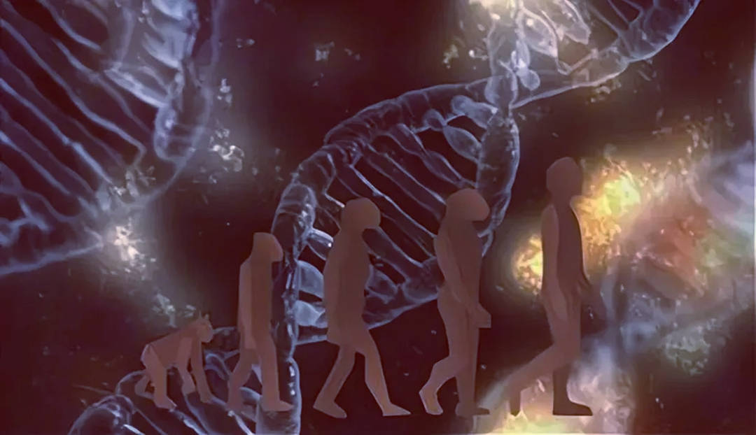 人类进化仍在继续？证据表明进化从未停止801 / 作者:单丁鹤纷 / 帖子ID:130916