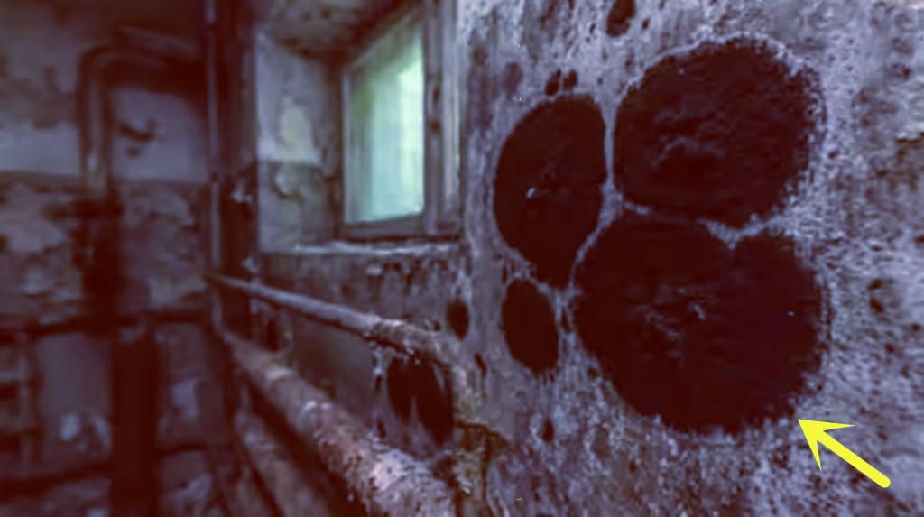 切尔诺贝利发现变异生物：具备特殊能力，可吞噬核辐射46 / 作者:单丁鹤纷 / 帖子ID:130923