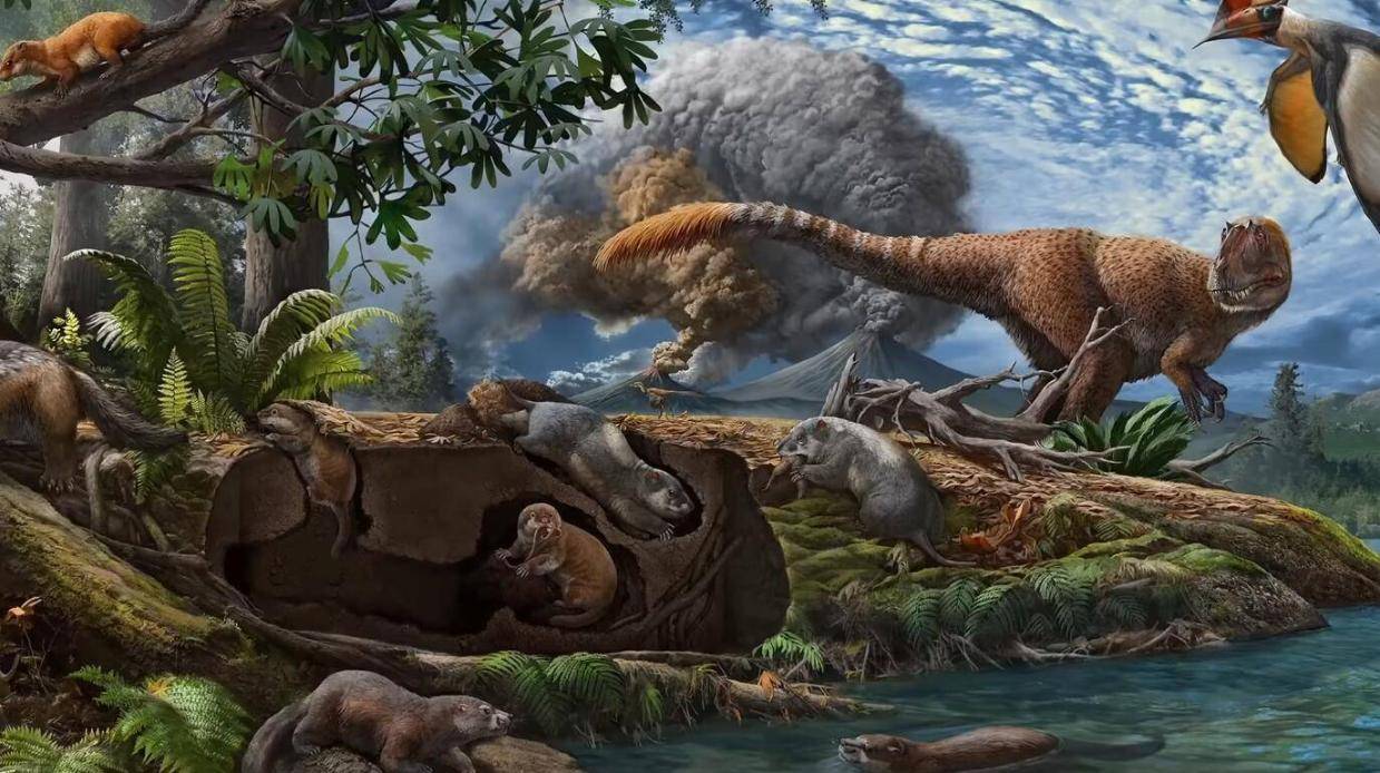 恐龙灭绝真相：古生物学家揭示物种历经3万年折磨才最终消失166 / 作者:单丁鹤纷 / 帖子ID:131039