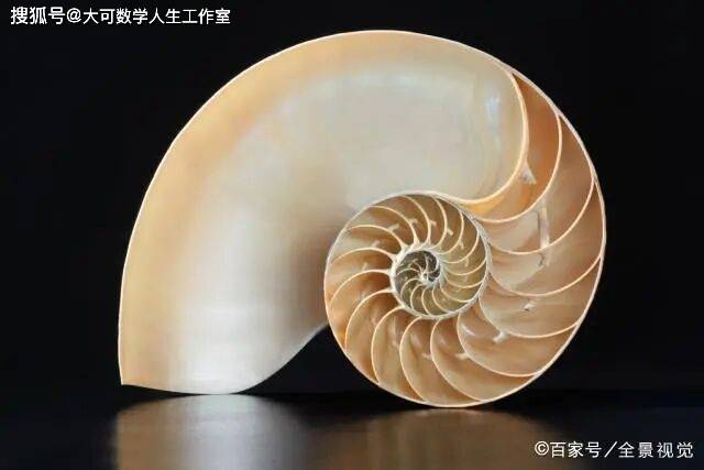 自然底数e的美妙之处：探索数学中的神奇常数416 / 作者:单丁鹤纷 / 帖子ID:130935