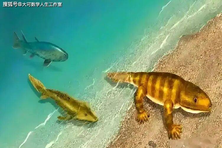 人类起源：探索人类从何而来的科学理论与历史证据342 / 作者:单丁鹤纷 / 帖子ID:130937