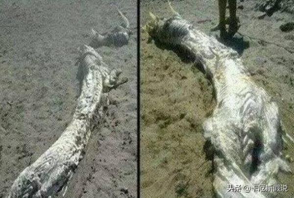 中国五大未解之谜：至今无人能解的悬案482 / 作者:单丁鹤纷 / 帖子ID:131075
